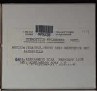 Image Associated With the Occurence